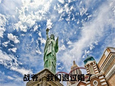 战爷，我们退过婚了（战煜枭陆思艺）全文免费阅读无弹窗_战爷，我们退过婚了:战煜枭陆思艺最新小说_笔趣阁