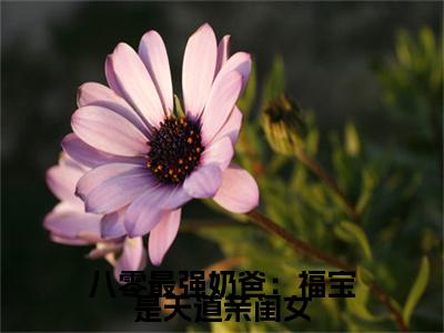 八零最强奶爸：福宝是天道亲闺女全文免费阅读无弹窗大结局_（糖糖）八零最强奶爸：福宝是天道亲闺女热门章节在线阅读笔趣阁（糖糖）