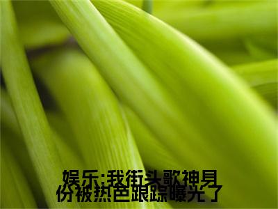 娱乐:我街头歌神身份被热芭跟踪曝光了（热芭林易）小说最新章节阅读-全网最新首发小说娱乐:我街头歌神身份被热芭跟踪曝光了（热芭林易）免费阅读全章节