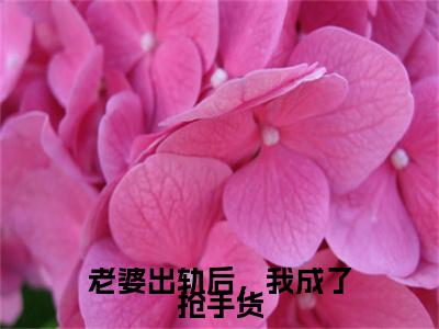 【新书】《老婆出轨后，我成了抢手货》全文免费阅读最新章节大结局-王宇陈雨婷全文全章节免费阅读