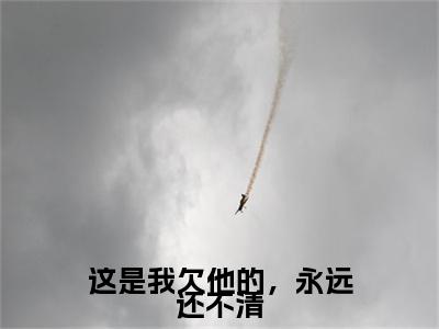 小说（这是我欠他的，永远还不清）_周凛秦南星全文阅读_这是我欠他的，永远还不清免费阅读大结局（免费+后续）