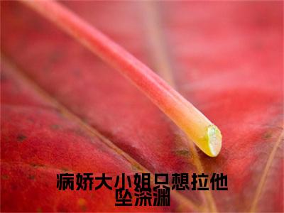 沈初萤陆泽小说病娇大小姐只想拉他坠深渊完整版大结局-沈初萤陆泽小说完结版在线阅读