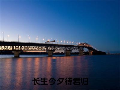 长生今夕待君归小说免费阅读无弹窗-长生今夕待君归（公萝依阿史易）小说免费阅读无弹窗大结局