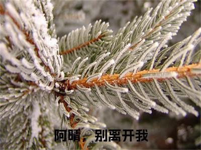 阿晴，别离开我最新章节（季寒泓程念晴）全文免费阅读无弹窗大结局_季寒泓程念晴免费阅读