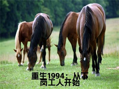 主角为张家强的小说-重生1994：从下岗工人开始（张家强）全文最新完整版阅读