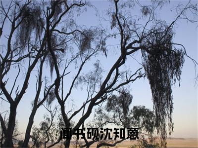 沈知蒽闻书砚（闻书砚沈知蒽）全文阅读-最火热点小说沈知蒽闻书砚最新更新