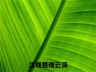 沈晚意傅云深（沈晚意傅云深）全文免费阅读无弹窗大结局_沈晚意傅云深免费阅读无弹窗最新章节列表_笔趣阁（沈晚意傅云深）