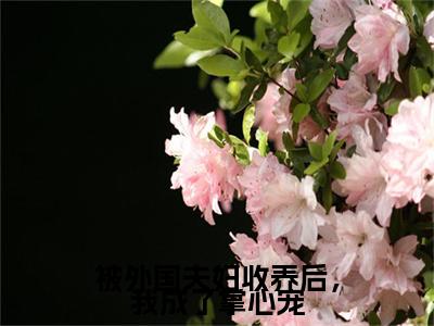 被外国夫妇收养后，我成了掌心宠（张蔚秦媛）小说最新章节在线阅读-被外国夫妇收养后，我成了掌心宠（张蔚秦媛）已完结全集大结局