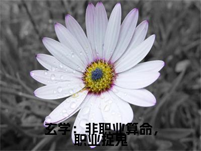 玄学：非职业算命，职业捉鬼（卫绵陈金辉）全文免费阅读无弹窗_玄学：非职业算命，职业捉鬼全文免费阅读无弹窗最新章节列表笔趣阁