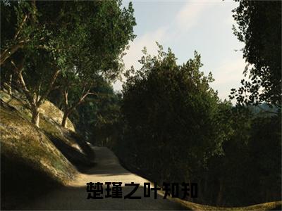 楚瑾之叶知知（楚瑾之叶知知）全文免费阅读无弹窗大结局_（楚瑾之叶知知）最新章节列表_笔趣阁