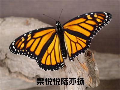 梁悦悦陆亦扬（梁悦悦陆亦扬）全文免费阅读_（梁悦悦陆亦扬）最新章节列表笔趣阁（梁悦悦陆亦扬）