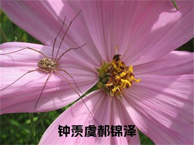 钟羡虞郝锦泽小说最新试读_钟羡虞郝锦泽是（钟羡虞郝锦泽）_笔趣阁（钟羡虞郝锦泽）