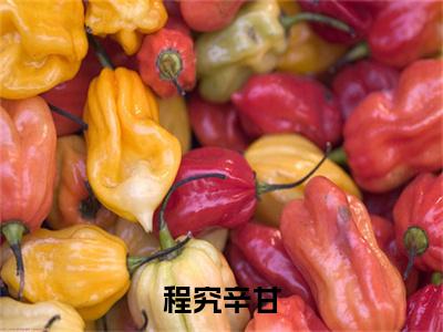 程究辛甘（程究辛甘）全文免费阅读无弹窗大结局_程究辛甘最新章节列表_笔趣阁（免费+番外）