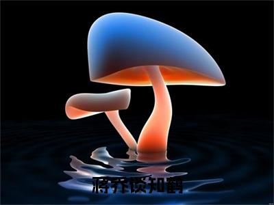 （热推新书）《蒋乔谈知鹤》谈知鹤蒋乔无弹窗阅读_蒋乔谈知鹤最新章节列表_笔趣阁