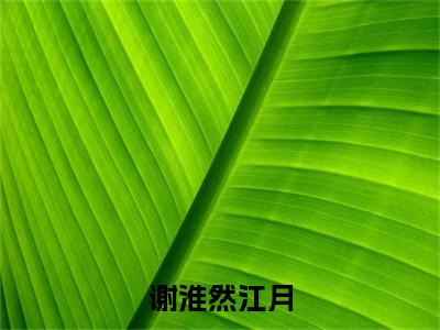 谢淮然江月小说在线阅读（江月谢淮然）全文免费阅读大结局_谢淮然江月最新章节列表笔趣阁