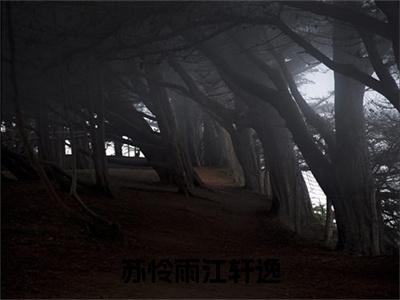 苏怜雨江轩逸（江轩逸苏怜雨全章节完整版）免费阅读_（江轩逸苏怜雨）苏怜雨江轩逸全文无删减免费阅读