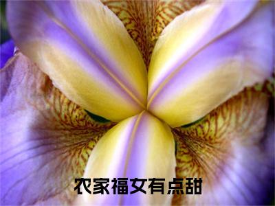 叶青雨徐靖南无弹窗（农家福女有点甜）全文免费阅读无弹窗大结局_（叶青雨徐靖南无弹窗）农家福女有点甜无弹窗最新章节列表