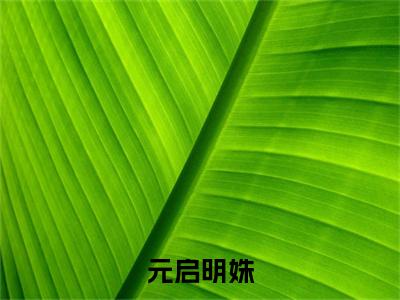 明姝元启全文免费阅读大结局-元启明姝最新章节阅读