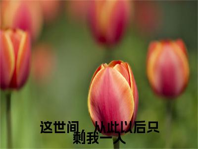 这世间，从此以后只剩我一人（段渠沈知星小说）在线阅读全文-段渠沈知星小说免费阅读完结版全文