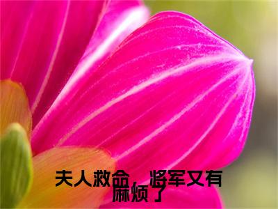 郑曲尺小说在线阅读（夫人救命，将军又有麻烦了）全文免费阅读无弹窗大结局_郑曲尺小说免费最新章节列表