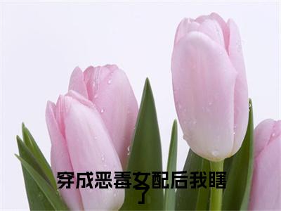 穿成恶毒女配后我瞎了（池韫时温软）全文免费阅读无弹窗_（池韫时温软小说全文免费阅读）穿成恶毒女配后我瞎了最新章节列表笔趣阁