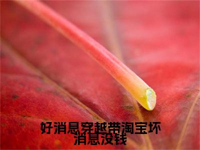 好消息穿越带淘宝坏消息没钱（钟蓁）全文完整版免费阅读-主角叫钟蓁的小说好消息穿越带淘宝坏消息没钱