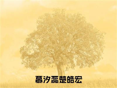 慕汐蕊楚皓宏（慕汐蕊楚皓宏）全文免费阅读无弹窗大结局_（慕汐蕊楚皓宏）慕汐蕊楚皓宏最新章节列表