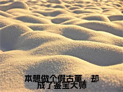 本想做个假古董，却成了鉴宝大师（梅又鼎）全文免费阅读_本想做个假古董，却成了鉴宝大师言诺诺，井傅宸小说最新章节列表笔趣阁