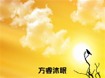 方睿沐眠《沐眠方睿小说免费阅读》完整-方睿沐眠小说（沐眠方睿）全文最新阅读