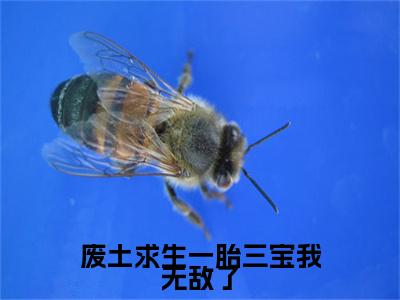 废土求生一胎三宝我无敌了免费小说-（废土求生一胎三宝我无敌了）麦芒完结版在线阅读