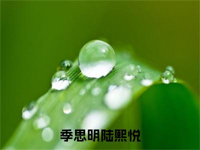 季思明陆熙悦小说（陆熙悦季思明）全文免费阅读大结局_（季思明陆熙悦）陆熙悦季思明小说免费阅读无弹窗