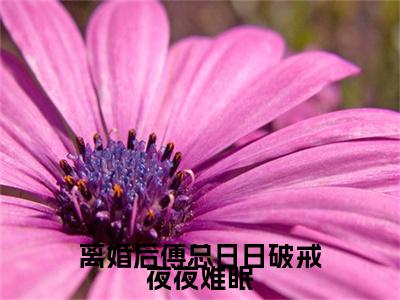 离婚后傅总日日破戒夜夜难眠最新章节（叶聆之傅明司）小说推荐阅读-新书离婚后傅总日日破戒夜夜难眠精彩阅读