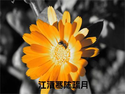 江清寒陈疏月小说主角叫什么陈疏月江清寒全文免费阅读大结局