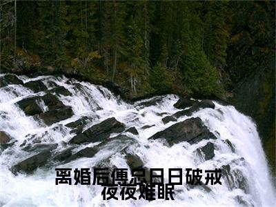 叶聆之傅明司（离婚后傅总日日破戒夜夜难眠）全文免费阅读无弹窗_离婚后傅总日日破戒夜夜难眠最新小说