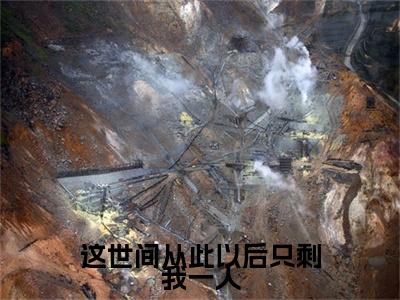 这世间从此以后只剩我一人沈知星段渠免费阅读大结局无弹窗-这世间从此以后只剩我一人小说推荐沈知星段渠精彩章节在线阅读