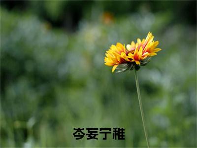 宁稚岑妄今日更新最新章节岑妄宁稚在线阅读