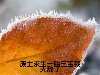 废土求生一胎三宝我无敌了（麦芒）全文免费阅读-废土求生一胎三宝我无敌了（麦芒）全章节完整版在线阅读