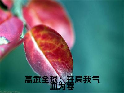 叶青凡（高武全球：开局我气血为零）小说在线阅读-最新小说高武全球：开局我气血为零（叶青凡）全文阅读