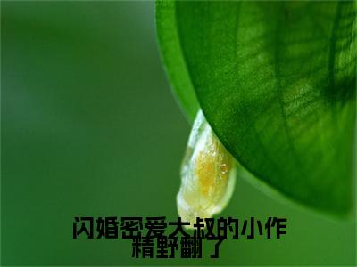 何芊遥霍瑾誉全文免费在线阅读_（闪婚密爱大叔的小作精野翻了全文免费阅读无弹窗大结局）