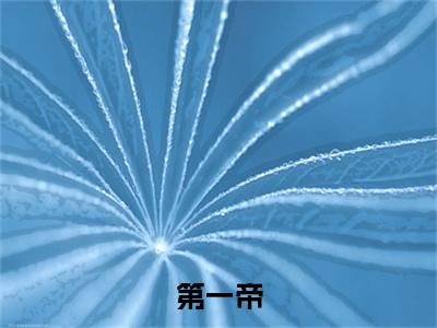 胡天全文免费（第一帝）全文免费阅读无弹窗大结局_（胡天全文免费）