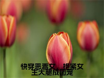 路月桑莫小说在哪里可以看快穿恶毒女，抱紧女主大腿成团宠-小说《快穿恶毒女，抱紧女主大腿成团宠》路月桑莫免费阅读