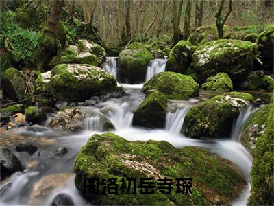 周洛初岳寺琛（岳寺琛周洛初小说）全文免费阅读无弹窗大结局_周洛初岳寺琛小说岳寺琛周洛初列表