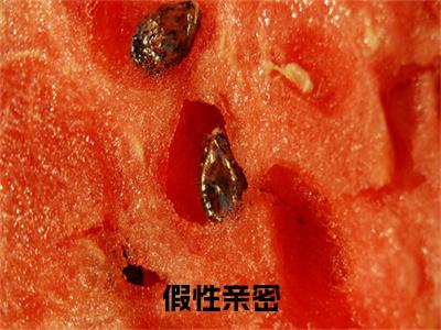 孟珵穗宜小说全文免费阅读_假性亲密（孟珵穗宜）最新章节列表笔趣阁