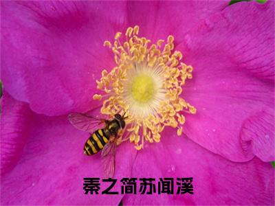 秦之简苏闻溪（苏闻溪秦之简）全文免费阅读无弹窗大结局_（秦之简苏闻溪）最新章节列表_笔趣阁