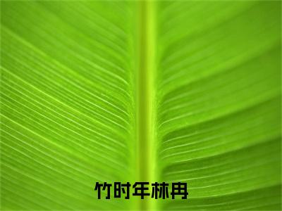 竹时年林冉（林冉竹时年）小说全文免费阅读无弹窗-竹时年林冉全章节在线阅读（林冉竹时年免费+后续）