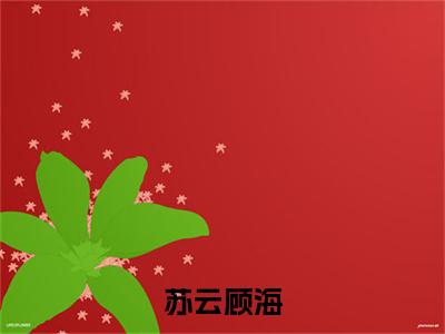 苏云顾海小说无弹窗（顾海苏云）全文免费阅读无弹窗大结局_顾海苏云最新章节列表_笔趣阁