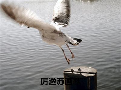 厉逸苏画秋是什么小说-苏画秋厉逸全文免费阅读无弹窗大结局（厉逸苏画秋）最新章节阅读