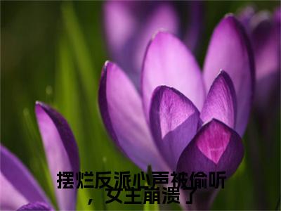 苏宇在哪免费看苏宇结局是什么（摆烂反派心声被偷听，女主崩溃了）小说无弹窗免费阅读