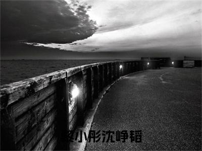 黎小彤沈峥韬黎小彤沈峥韬完整版全文在线赏析-黎小彤沈峥韬全文在线阅读