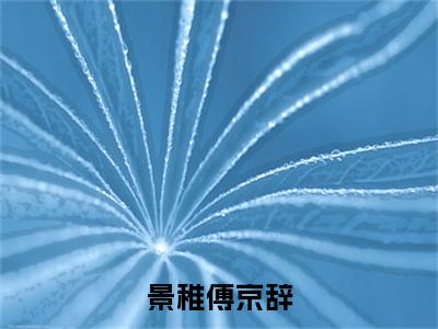 景稚傅京辞（傅京辞景稚）免费阅读无弹窗大结局-景稚傅京辞免费阅读大结局最新章节列表_笔趣阁